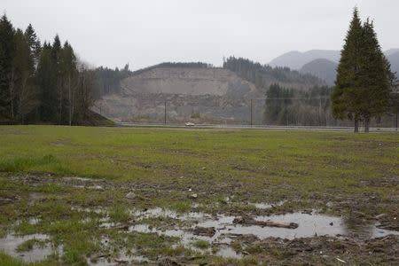 A truck drives along the newly-constructed Washington Highway 530 near the former location of a debris field from a mudslide in Oso, Washington March 19, 2015. REUTERS/David Ryder