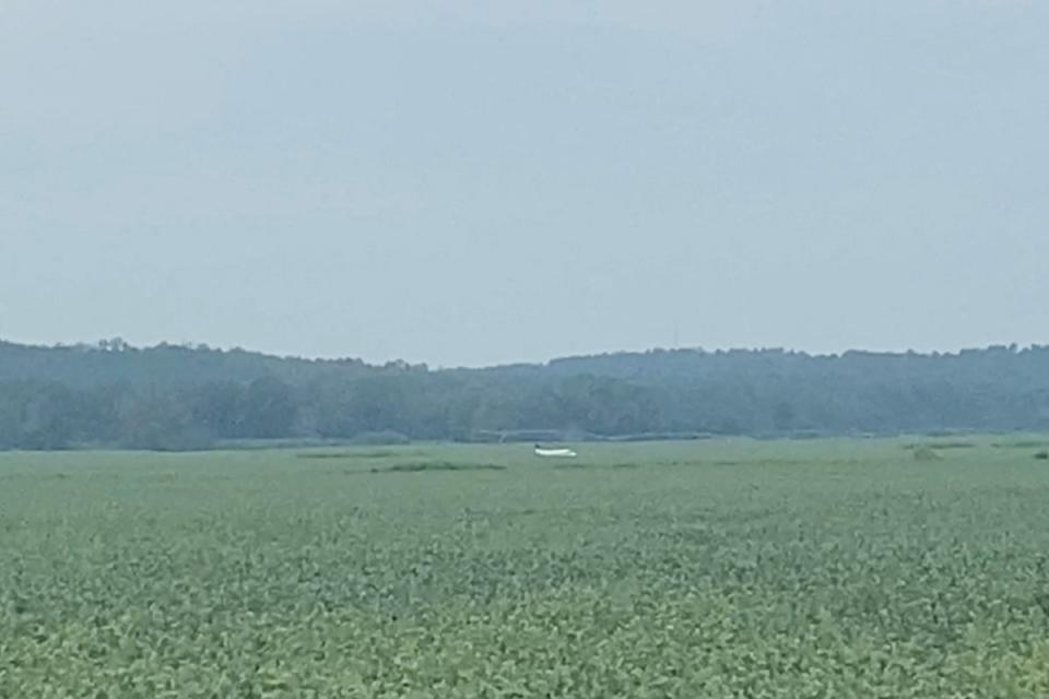 The plane landed in a field in Ripley, Mississippi (MEGAN HARRELL GRIMES VIA REUTERS)