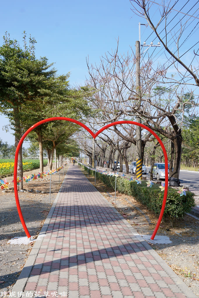 屏東新埤鄉綜合休閒公園｜向日葵花海