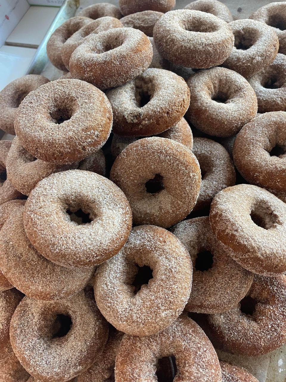 Apple cider donuts at Anna Bananas Bakery in the Manahawkin section of Stafford.