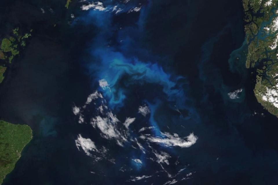 Satellites observed hints of the bloom developing between Scotland and Norway for about two weeks, but the view from above was mostly hidden by clouds. Then, mostly clear skies on the afternoon of June 15, 2023, allowed the Visible Infrared Imaging Radiometer Suite (VIIRS) on the NOAA-20 satellite to acquire this natural-color image of the abundant phytoplankton.