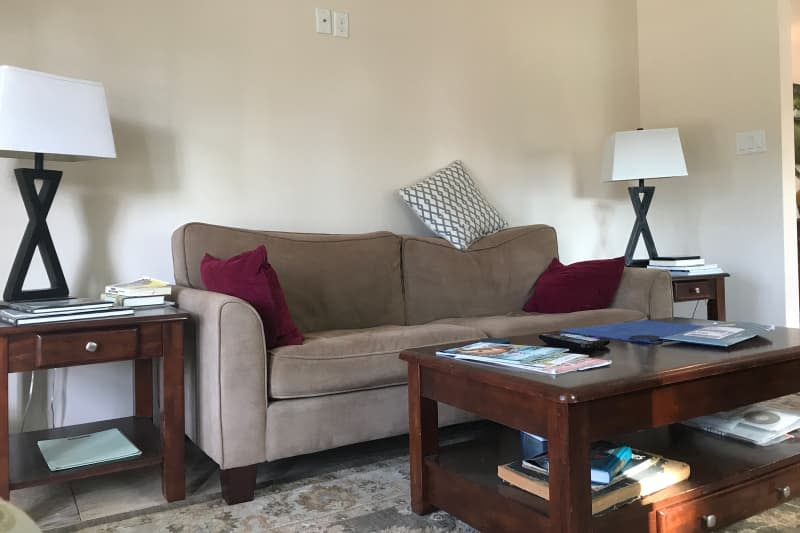 Brown sofa in living room before renovation.