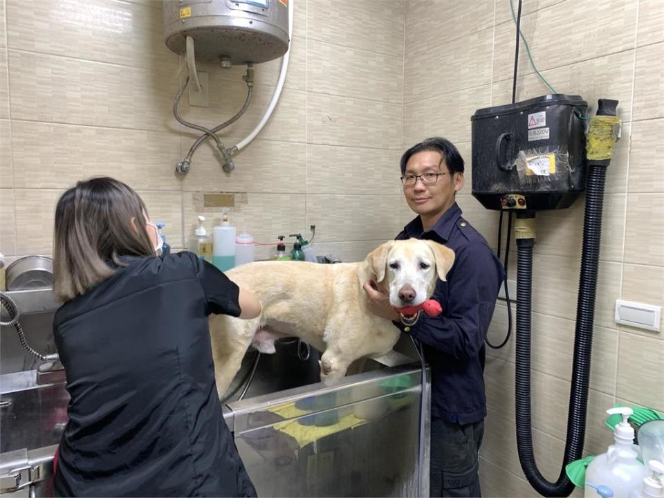 國際搜救犬日　陳其邁慰勞汪汪隊送上禮物