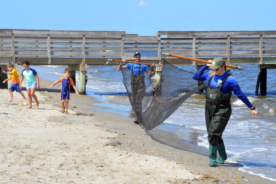 A scene from last year's Wind & Sea Festival.