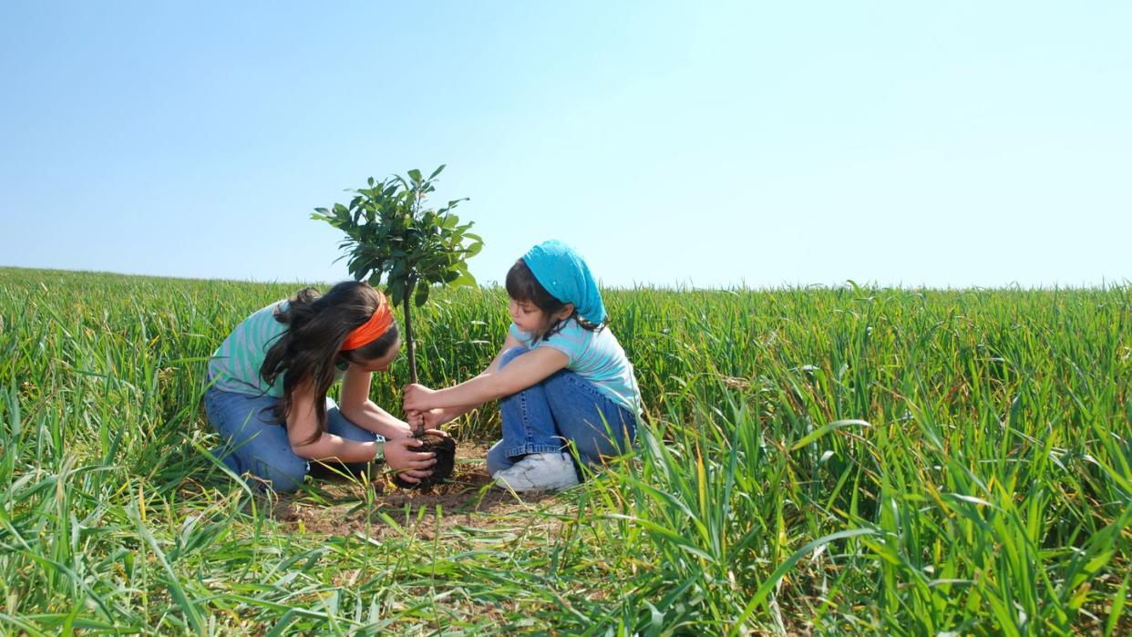 earth day activities