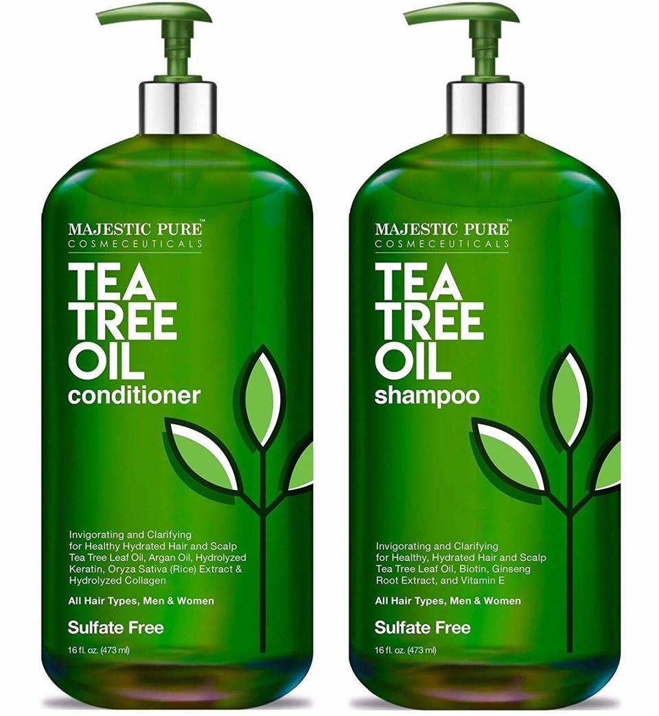 best tea tree oil shampoo majesticpure