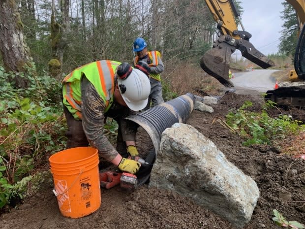 Crews are installing 400 metres of directive fencing intended to funnel the toads into the culverts.