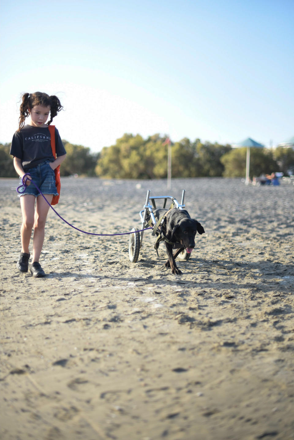 Dakota and mum Jo went back to Crete to fetch Jack (rawpawsphotography/PA Real Life)