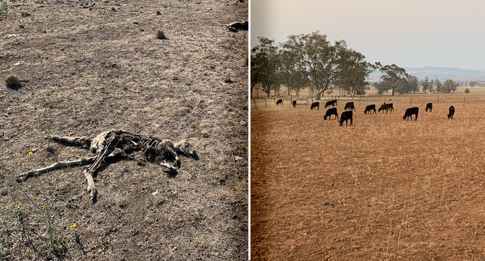 Father of two, Justin Smith, says northwest NSW looked like Armageddon at the height of the drought in 2019. Source: Michael Dahlstrom