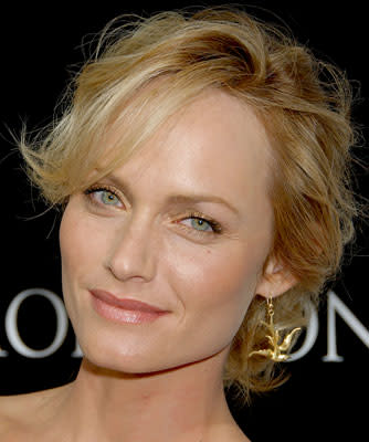 Amber Valletta at the Hollywood premiere of TriStar Pictures' Premonition