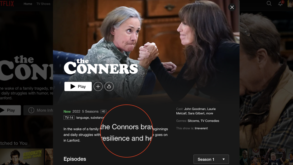 The Conners Netflix