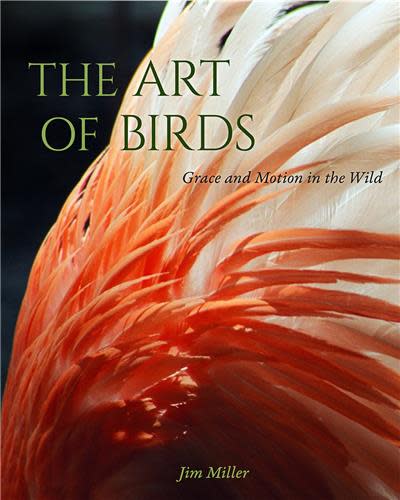 "The Art of Birds" by Jim Miller took Gold in the Visual Arts category of the 2021 Florida Book Awards.