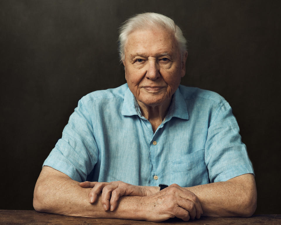 Sir David Attenborough has been working on the series for four years. (BBC)