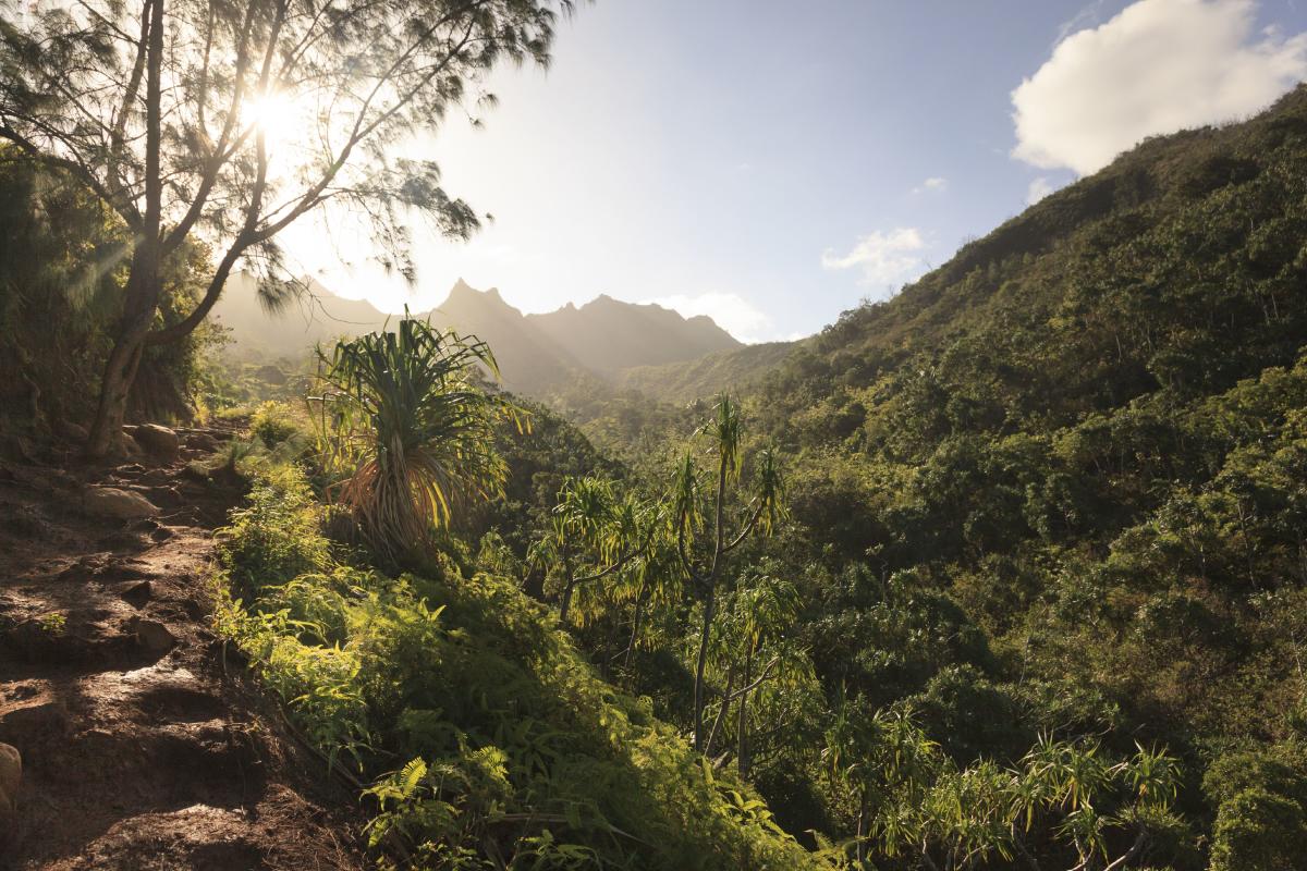 Kalalau Trail Temporarily Closed Due to Norovirus