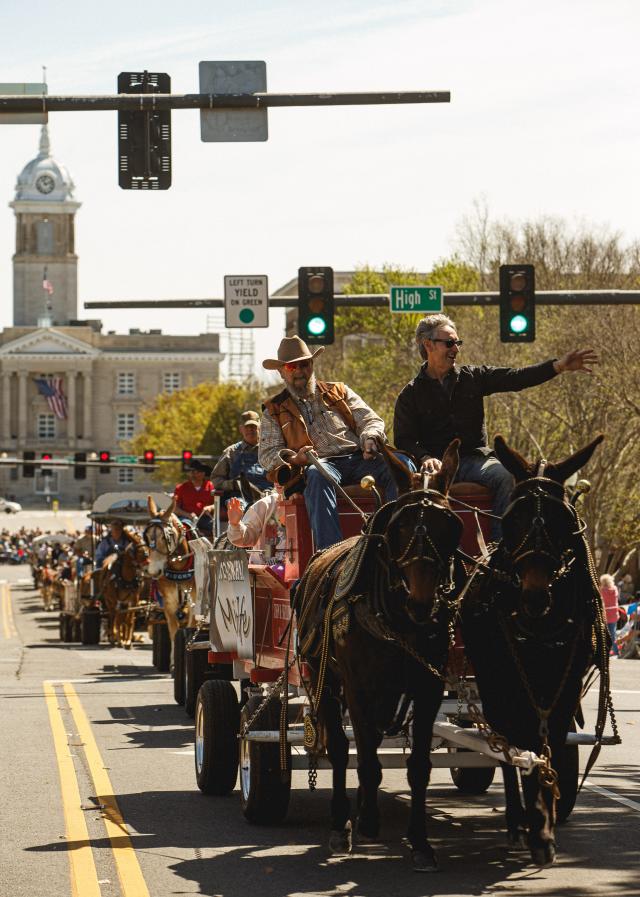 'Mule Day is back' Parade brings spirit, fun to Columbia in 49th year