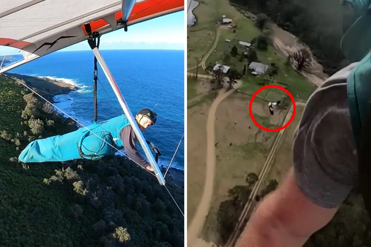 Hang glider 'attacked' 300ft above the ground as magpie season begins