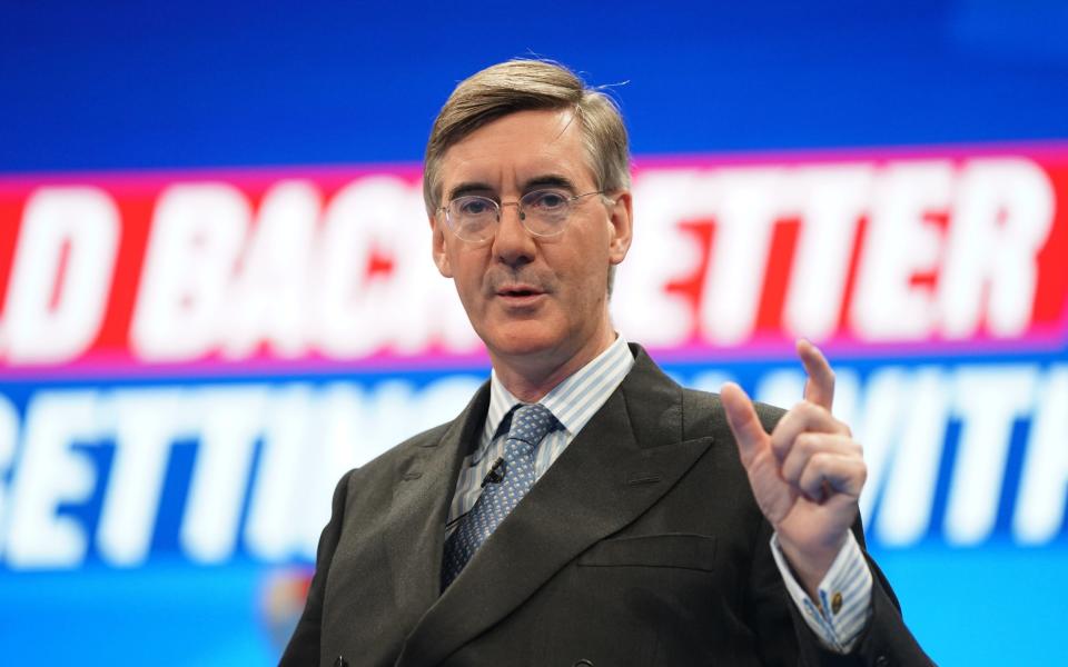 Jacob Rees-Mogg championed the original Festival of Brexit, even going so far as to coining the nickname - Stefan Rousseau/PA Wire