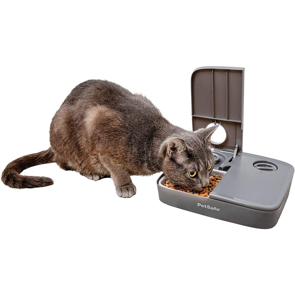 petsafe programmable pet feeder