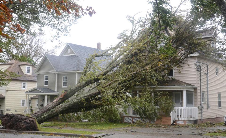 Árboles caídos se apoyan en una casa en Sidney, Nueva Escocia, mientras la tormenta tropical Fiona azota la zona (AP)