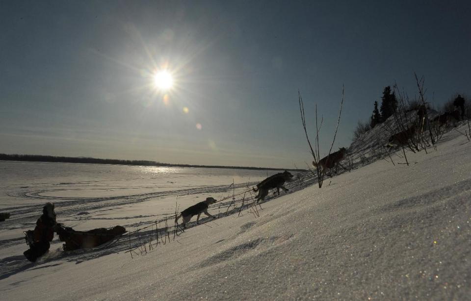 Iditarod musher Paul Gebhardt, from Kasilof, AK, mushes up the bank off of the Yukon River and into the Galena checkpoint during the 2014 Iditarod Trail Sled Dog Race on Friday, March 7, 2014. (AP Photo/The Anchorage Daily News Bob Hallinen)