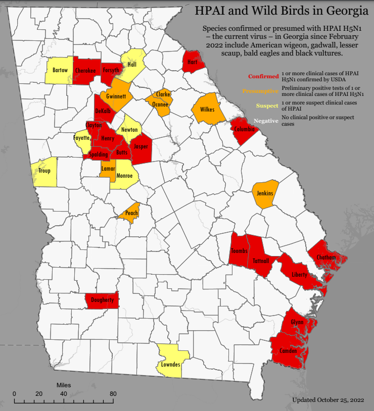 A map of HPAI cases detected in Georgia from the GA Department of Natural Resources Wildlife Division.