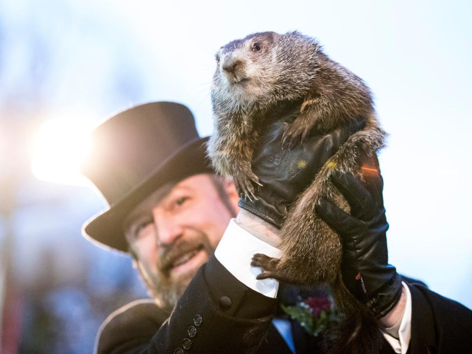 Punxsutawney Phil