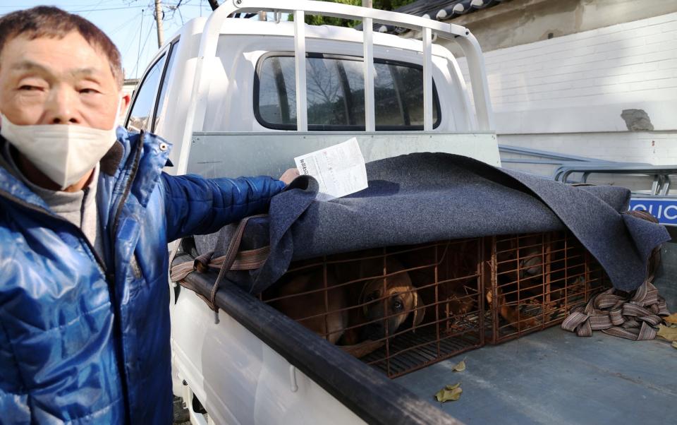 A dog farmer shows his dogs in cages during a protest to demand the government scrap plans to pass a bill to enforce a ban on eating the animal's meat