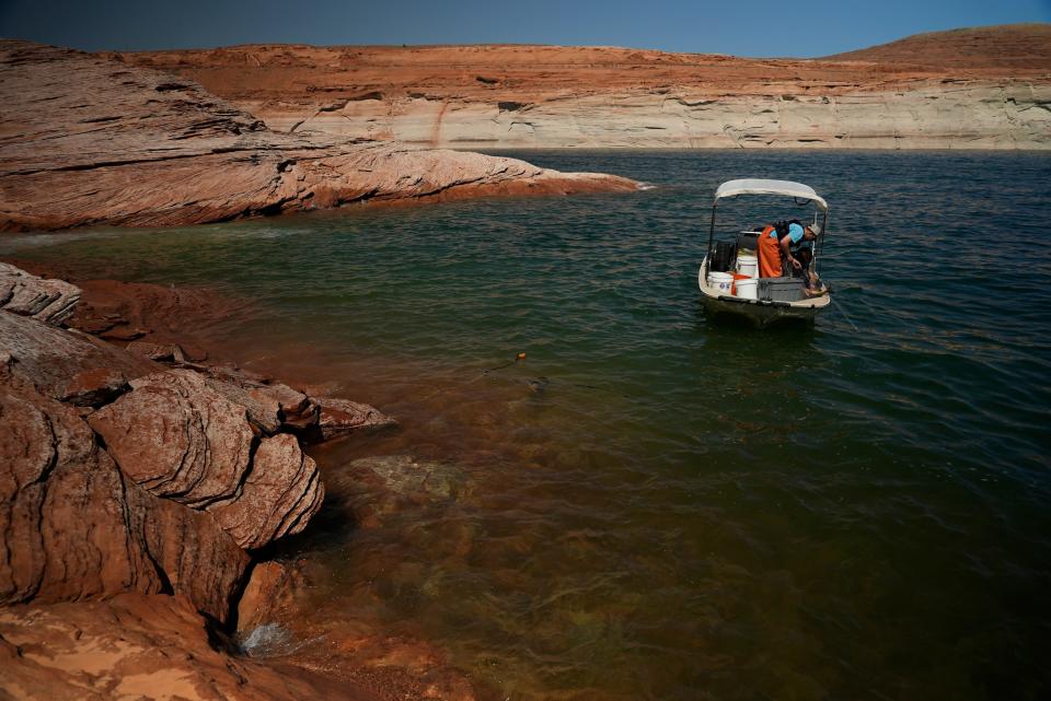 A Utah State University research team pulls in a gillnet net at Lake Powell on Tuesday, June 7, 2022.