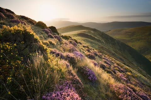 The Shropshire Hills - Credit: GETTY