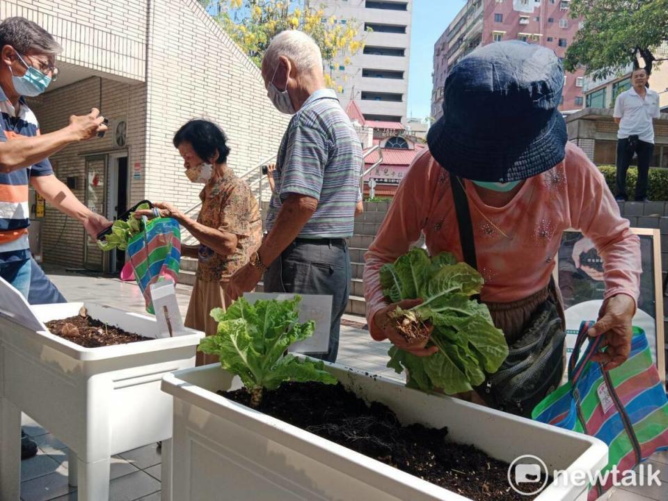 長輩採收親手種植的農作物。   圖：孫家銘攝