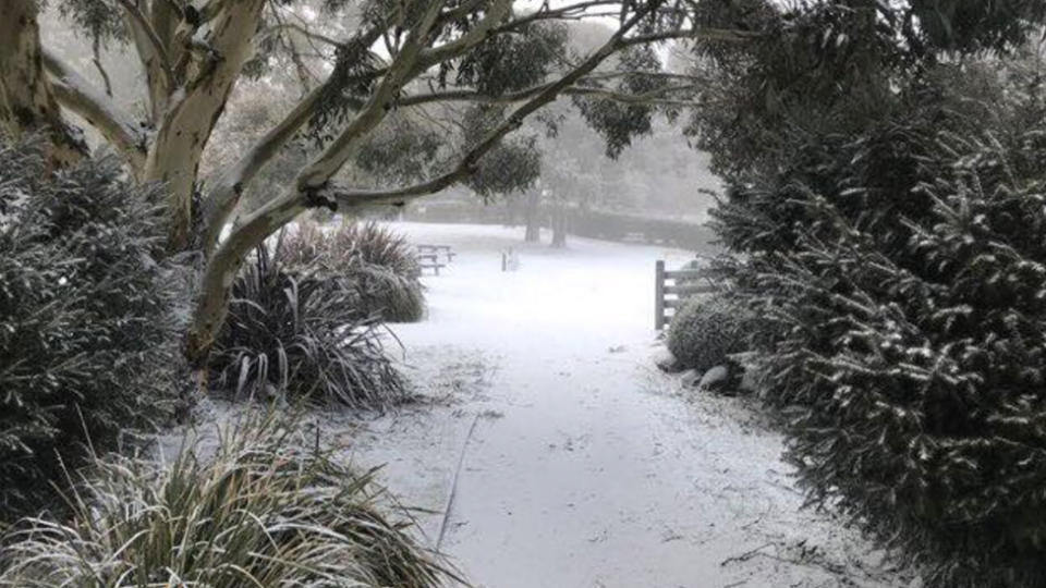 Snow fell across the Central Highlands and Dandenongs Saturday morning. More snow is expected throughout the weekend. Source: @1001metres Twitter.