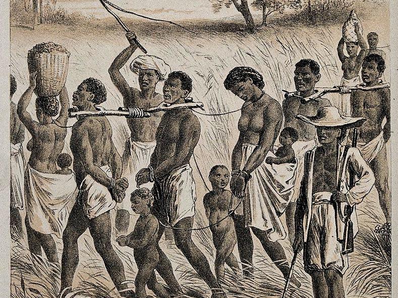 There were at least six early slave voyages from the Cape Verde Islands off the West African coast to the Caribbean between 1518 and 1530, laden with Black African captives acquired by Cape Verdean slave traders: Wikimedia