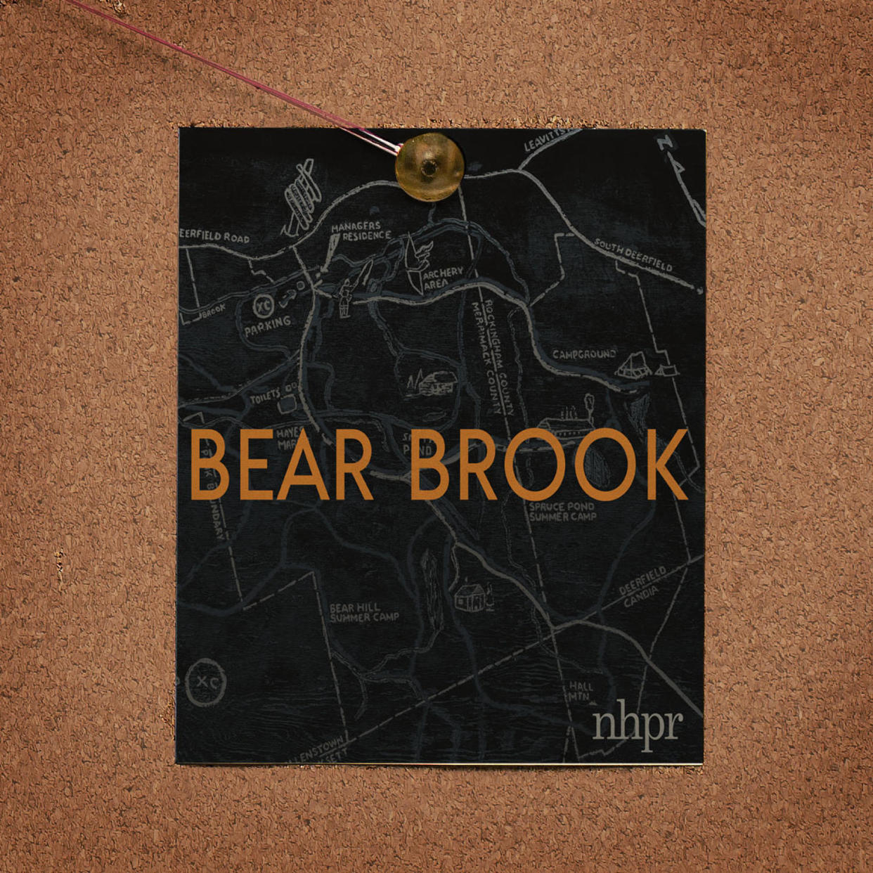 Bear Brook Logo pinned to cork board (Kelsea Petersen / TODAY Illustration)