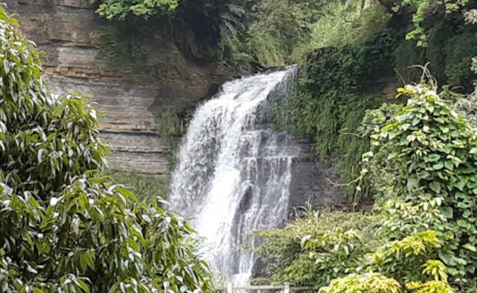 明德樂園周遭也有許多觀光景點。（圖／翻攝自Google地圖）