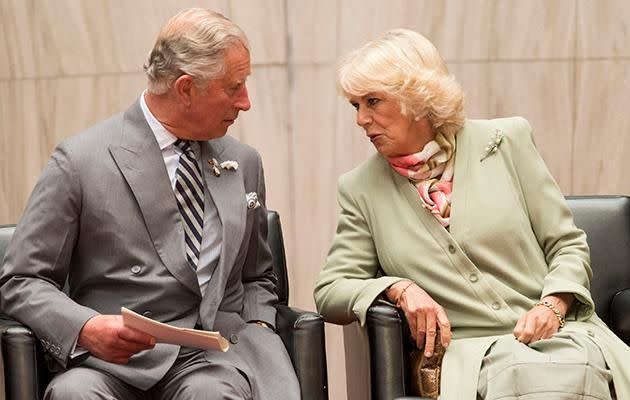 Charles and Camilla have a lot of differences in their relationship. Here they are pictured in 2014. Photo: Getty