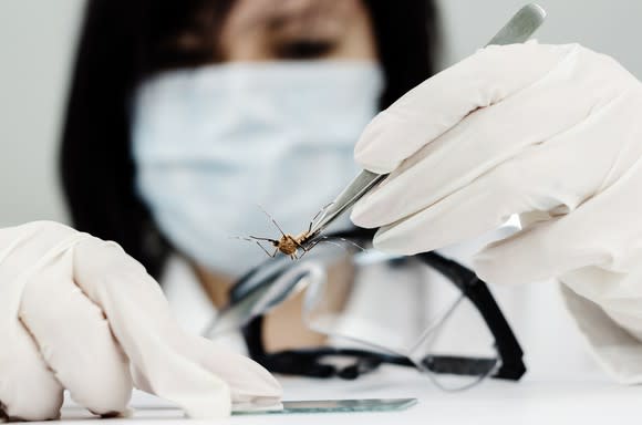 A scientist with a protective mask uses tweezers to hold a mosquito.