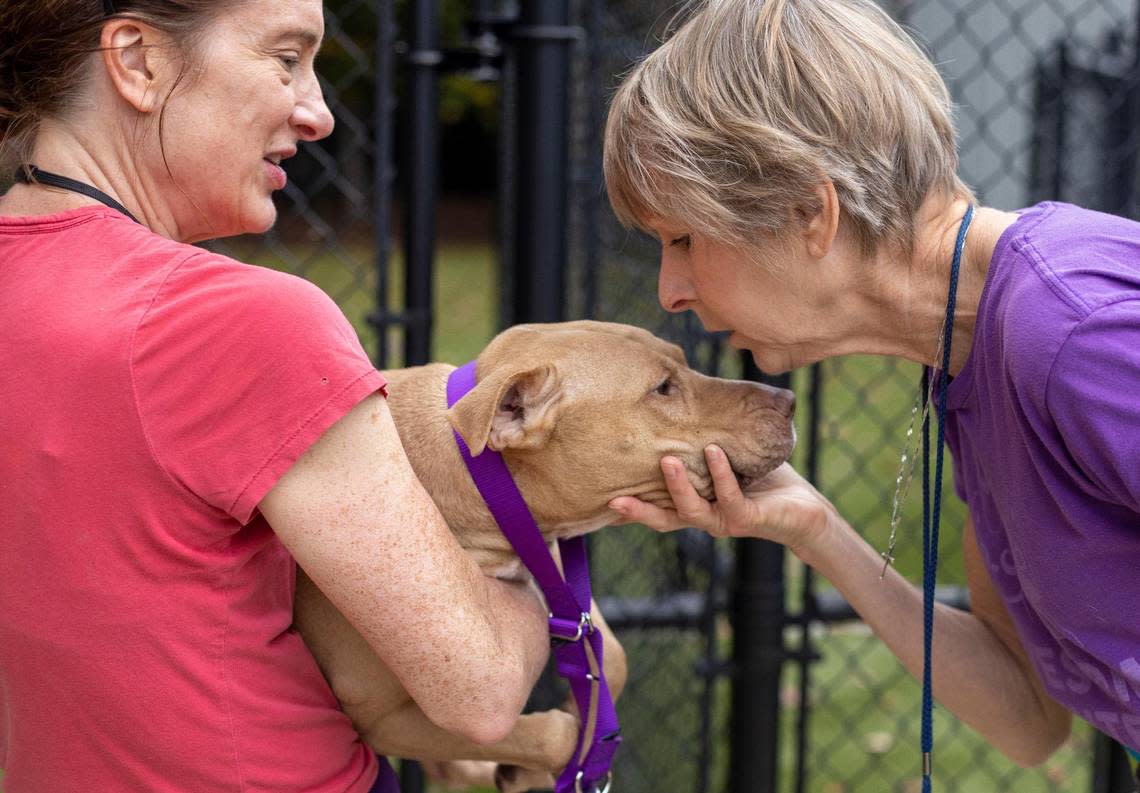 Wake County Animal Center volunteer Kim Leon, right, snuggles with Lori, a Terrier mix, with fellow volunteer Natalie Macpherson, left, on Wednesday, November 2, 2022 in Raleigh, N.C. Lori was returned to the Animal Center recently after a possible adoption didn’t work out.