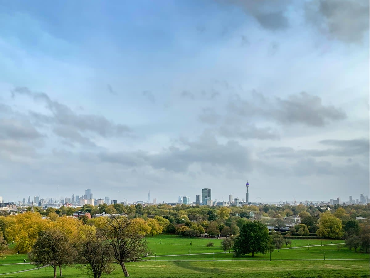 Primrose Hill is a premium London location next door to Regent’s Park (Getty Images/iStockphoto)