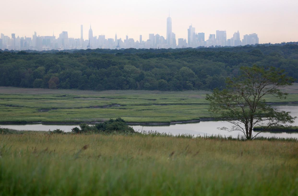 In this picture taken Thursday, Aug. 18, 2016, the skyline of New York City is seen behind a section of the Freshkills Park in the borough of Staten Island, New York. Diverse wildlife habitats, acres of grasslands, creeks for kayaking and meadows for hiking and biking.
