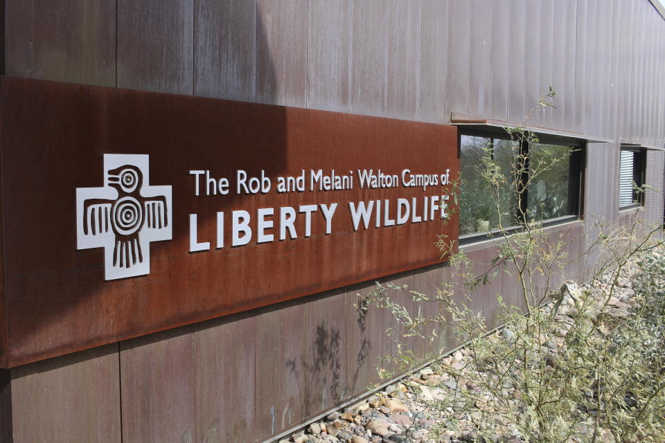 The Liberty Wildlife Non-Eagle Feather Repository in Phoenix is seen on Tuesday, Feb. 27, 2024. Citizens of federally recognized Native American tribes who are 18 and older can request items from the repository for religious and ceremonial purposes. (AP Photo/Cheyanne Mumphrey)