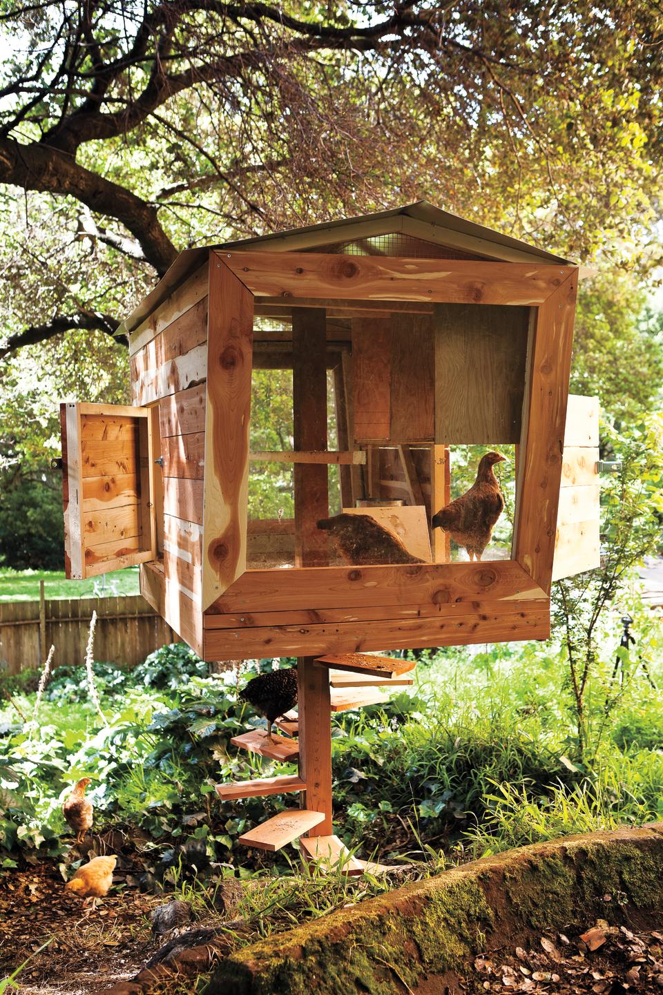 Check out these must-see designs for raising backyard chickens in style