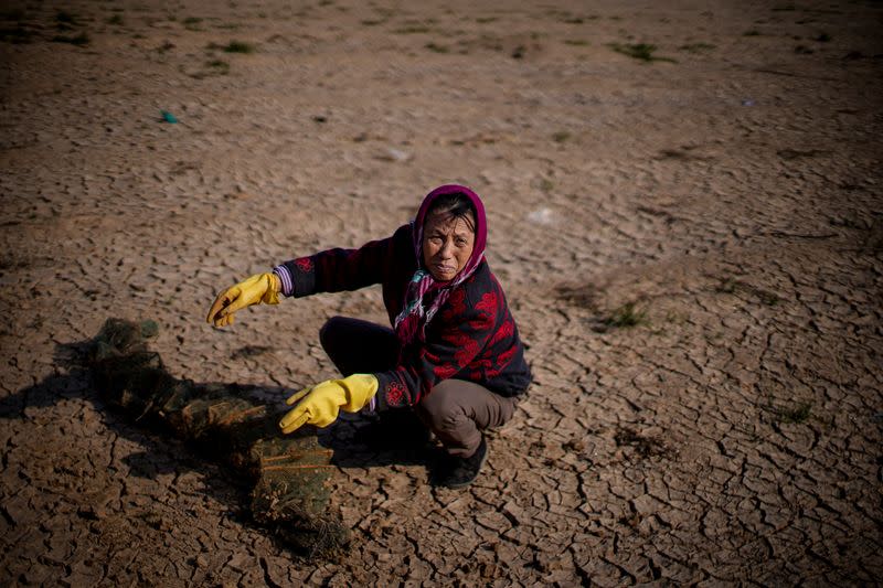 The Wider Image: Fishermen cry foul as China bids to fix drought-hit lake