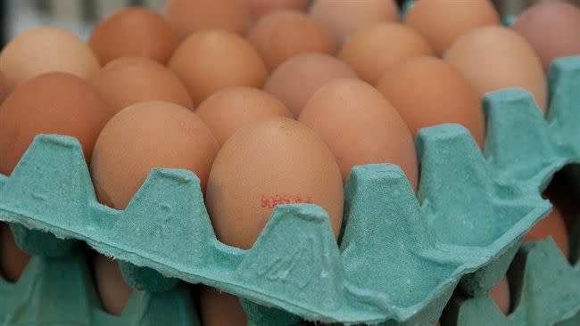 蛋殼顏色的差異是因雞的品種不同。（圖／Pixabay）