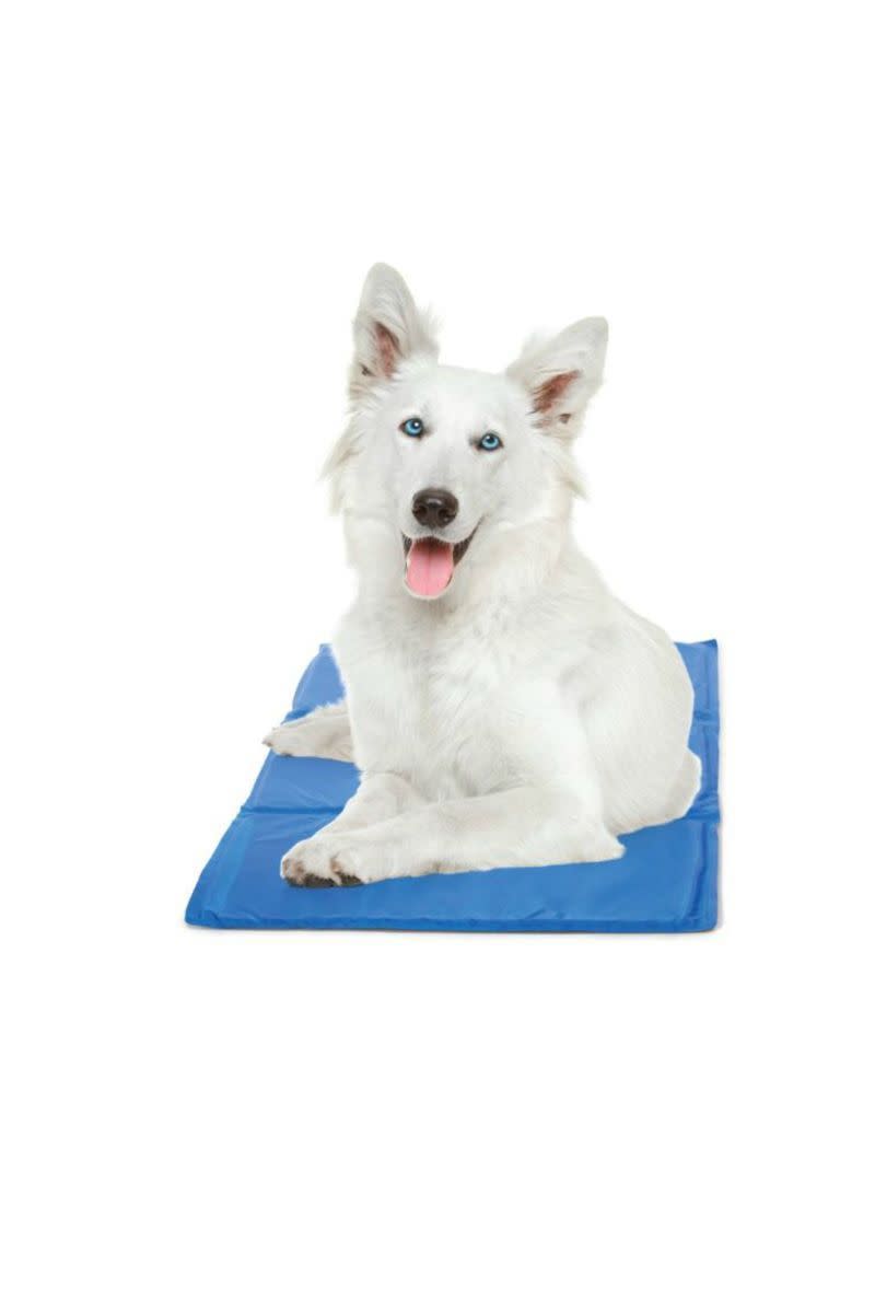 Chill Mat Comfort Cooling Gel Pet Mat