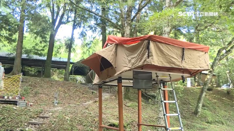 觀霧山莊規劃帳篷及露營車，預計8月份開放入住。