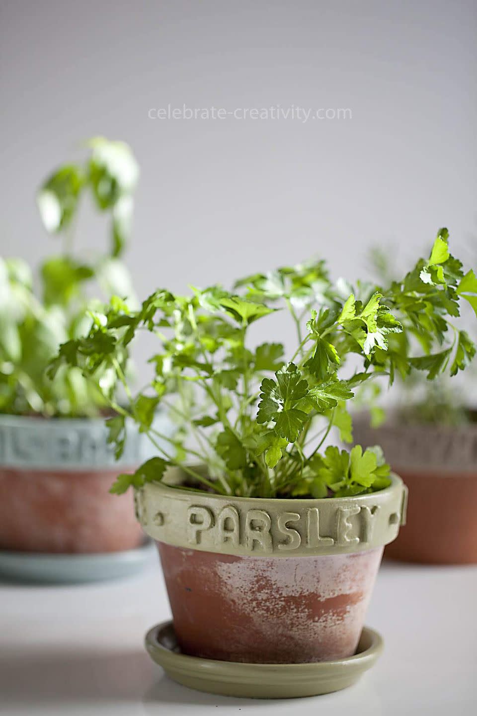 Clay Labels for Herb Pots