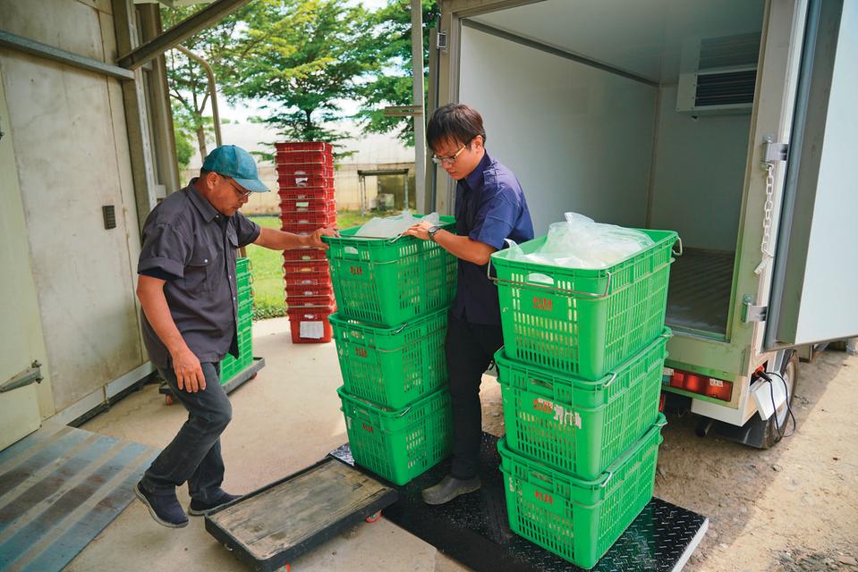 李惟裕用企業化管理模式，讓時生永續農場業務遍及鄰近學校及南科團膳。