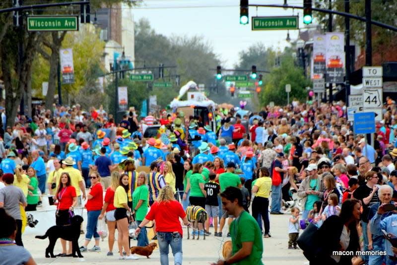 The annual Mardi Gras Dog Parade & Festival will unfold on Saturday along Woodland Boulevard in downtown DeLand.