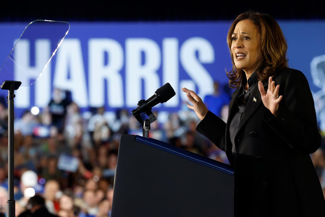 Vice President Kamala Harris holds a campaign rally at the McHale Athletic Center on September 13, 2024 in Wilkes Barre, Pennsylvania.