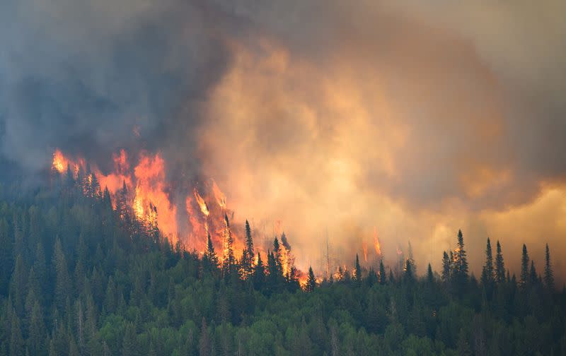 FILE PHOTO: Flames reach upwards along the edge of a wildfire as seen from a Canadian Forces helicopter in Quebec